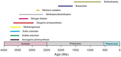 Frontiers An Overview Of Experimental Simulations Of Microbial